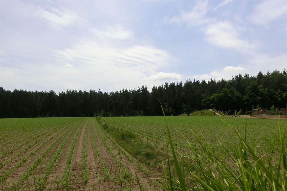 Blick vom Garten auf Wald und Wiese